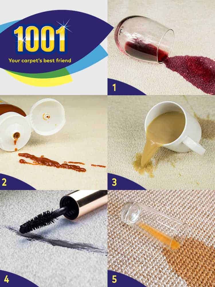 1001 carpet cleaner 1001 carpet cleaner