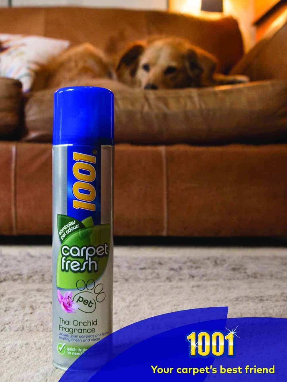 best pet safe carpet cleaner best pet safe carpet cleaner