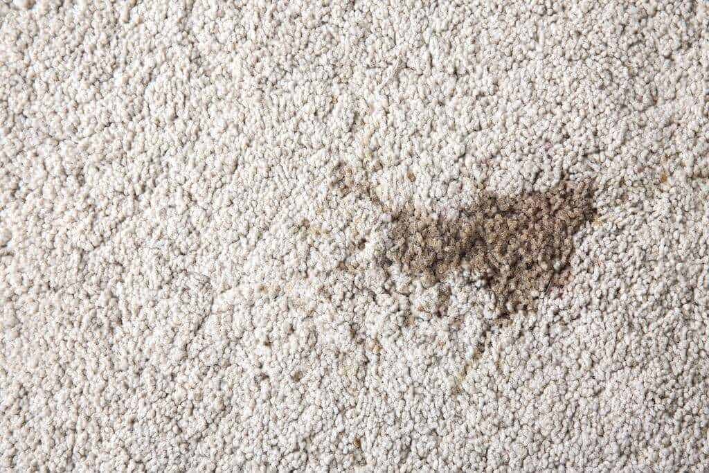carpet stains