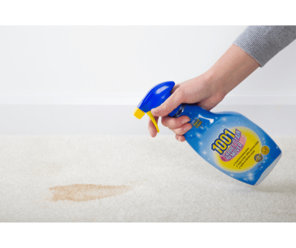 1001 Carpet Stain Remover