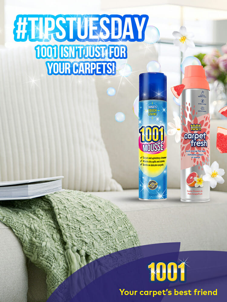 Keep your house spotless with 1001 Carpet Stain Remover Keep your house spotless with 1001 Carpet Stain Remover