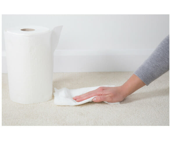 blot stain with paper towel